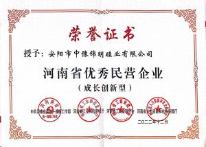 安陽(yáng)市優(yōu)秀民營(yíng)企業(yè)證書(shū)